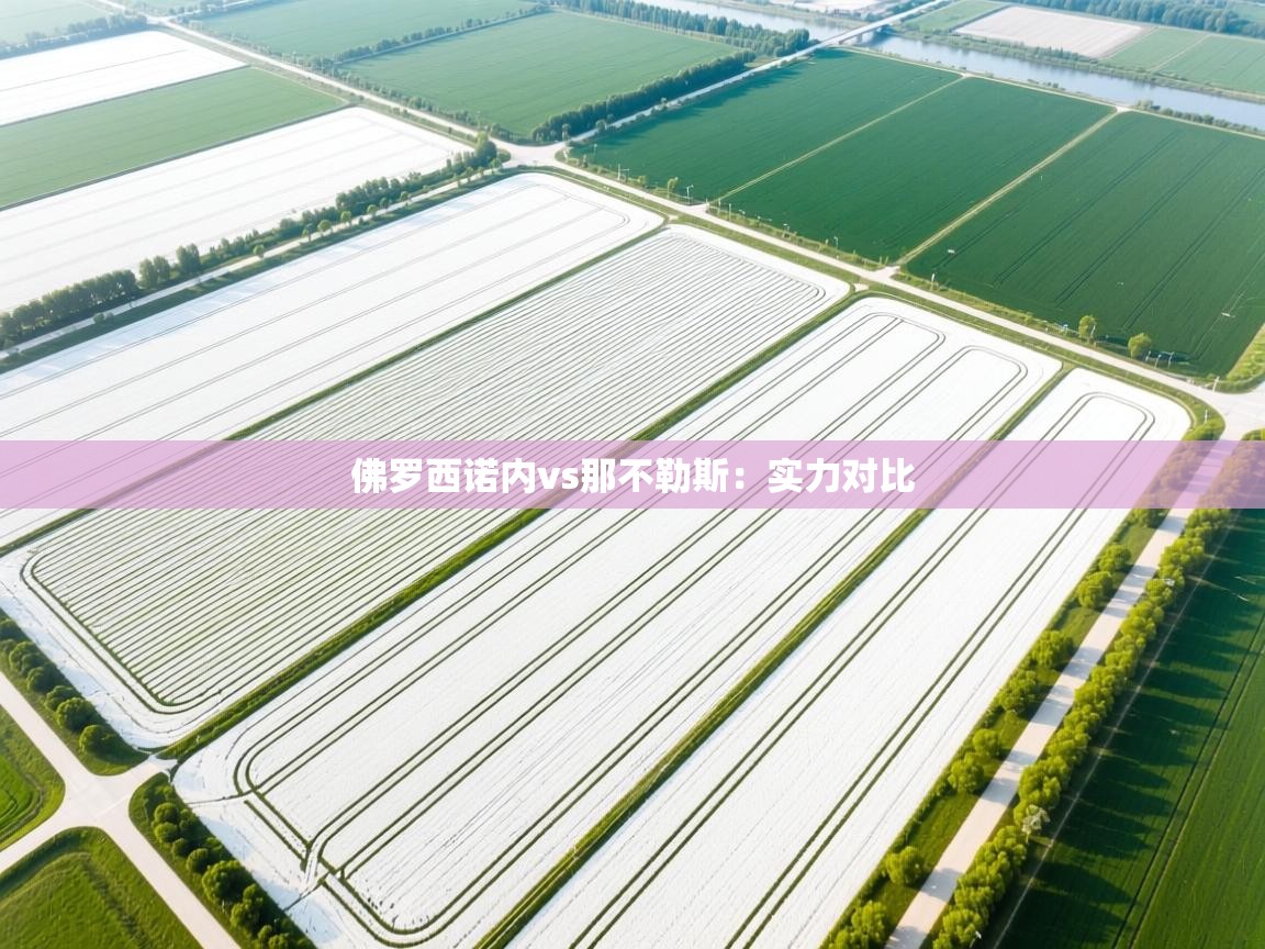 佛罗西诺内vs那不勒斯：实力对比