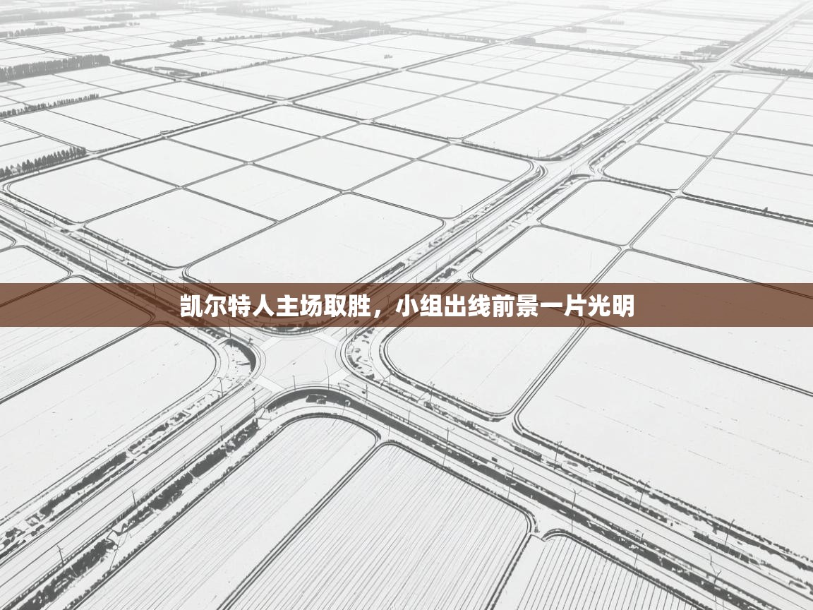 凯尔特人主场取胜，小组出线前景一片光明