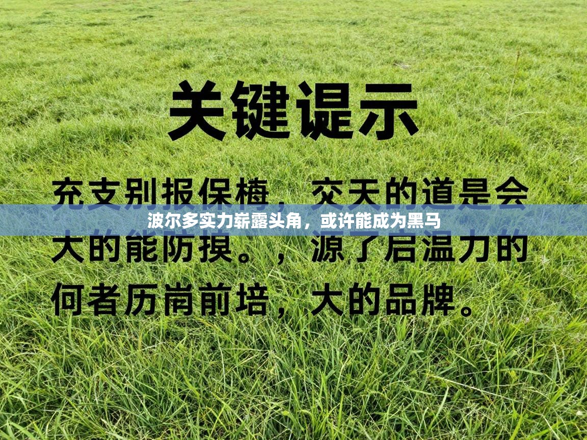 波尔多实力崭露头角，或许能成为黑马