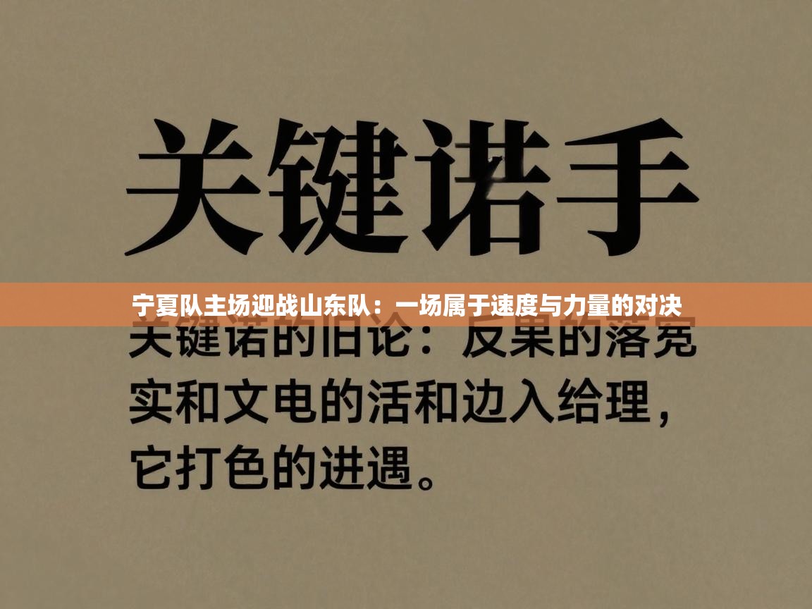 宁夏队主场迎战山东队：一场属于速度与力量的对决